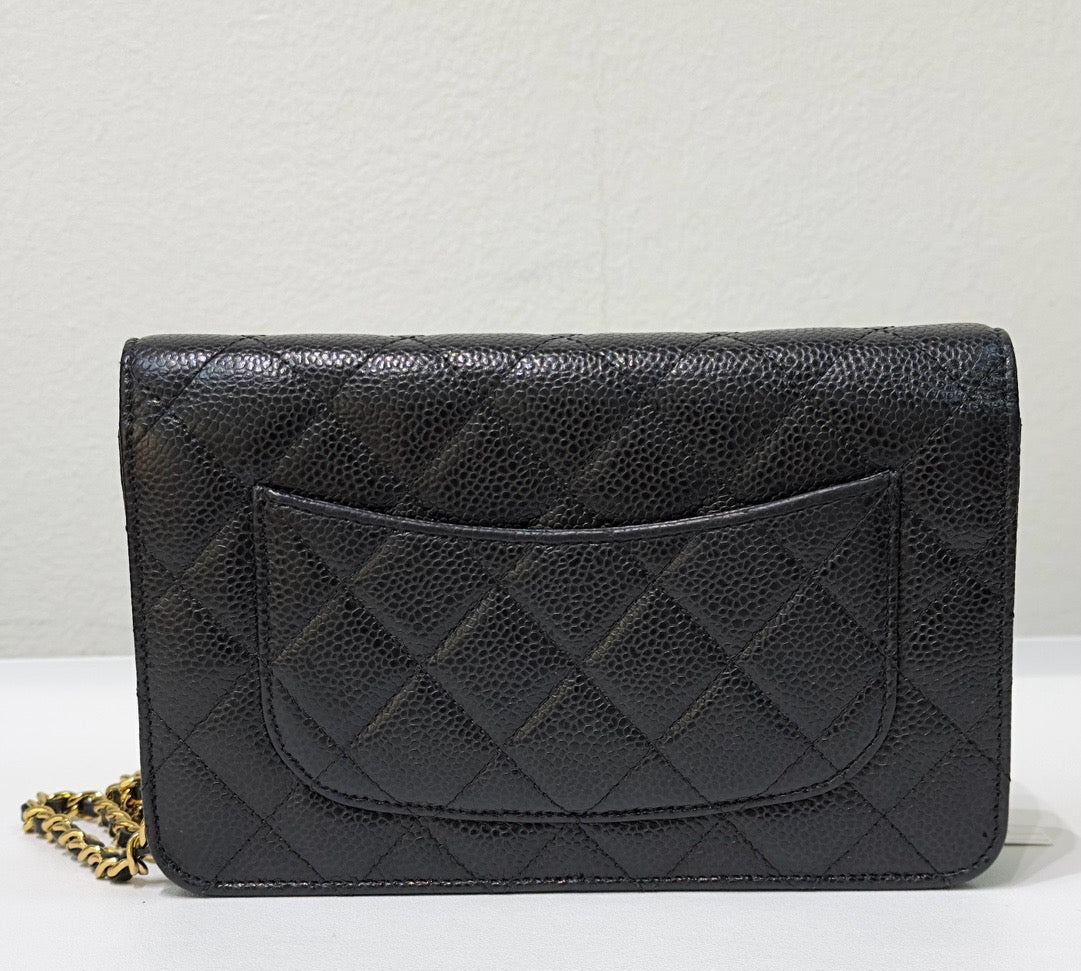 Chanel Wallet On Chain Crossbody Bag - Ewore Bags