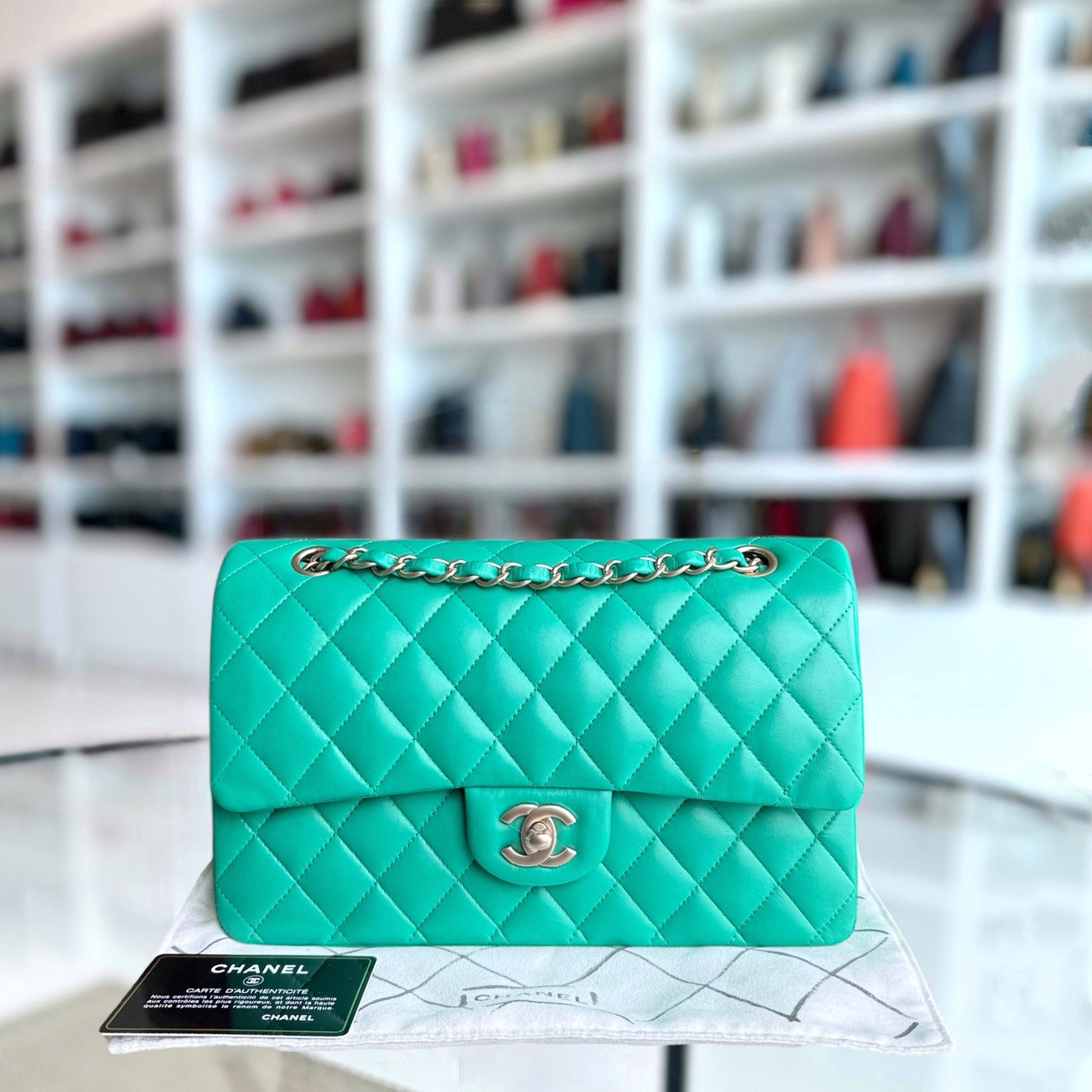Chanel Classic Flap Medium Shoulder Bag - EworeBags