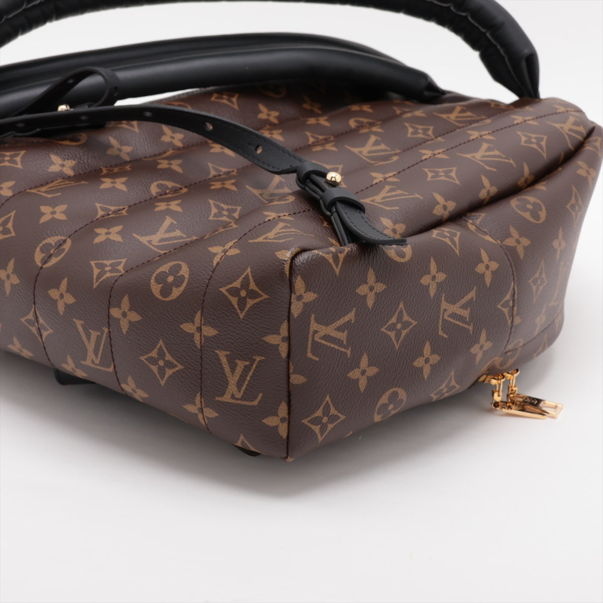 Louis Vuitton Monogram Palm Springs Bag Pack MM M44874
