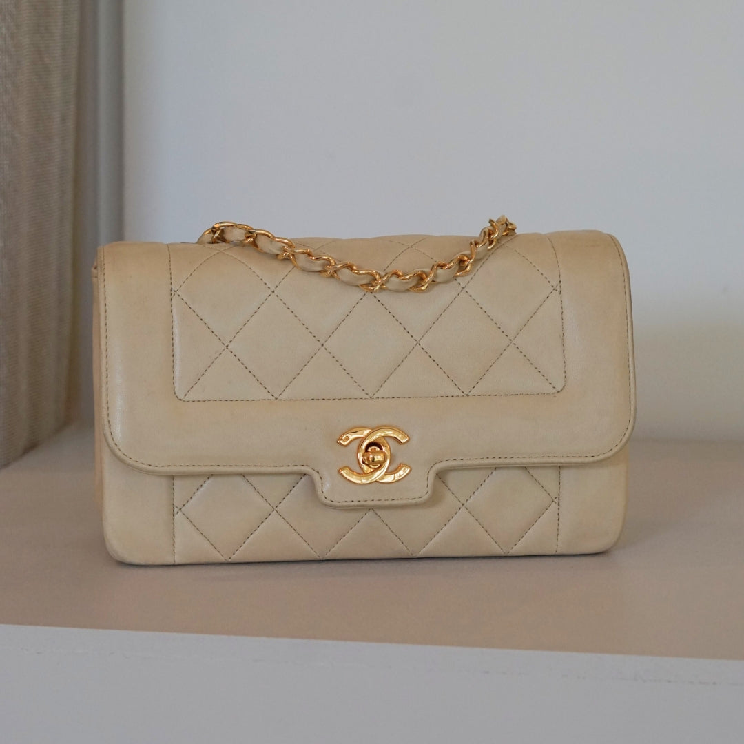 Chanel Diana Handbag Bag - Ewore Bags