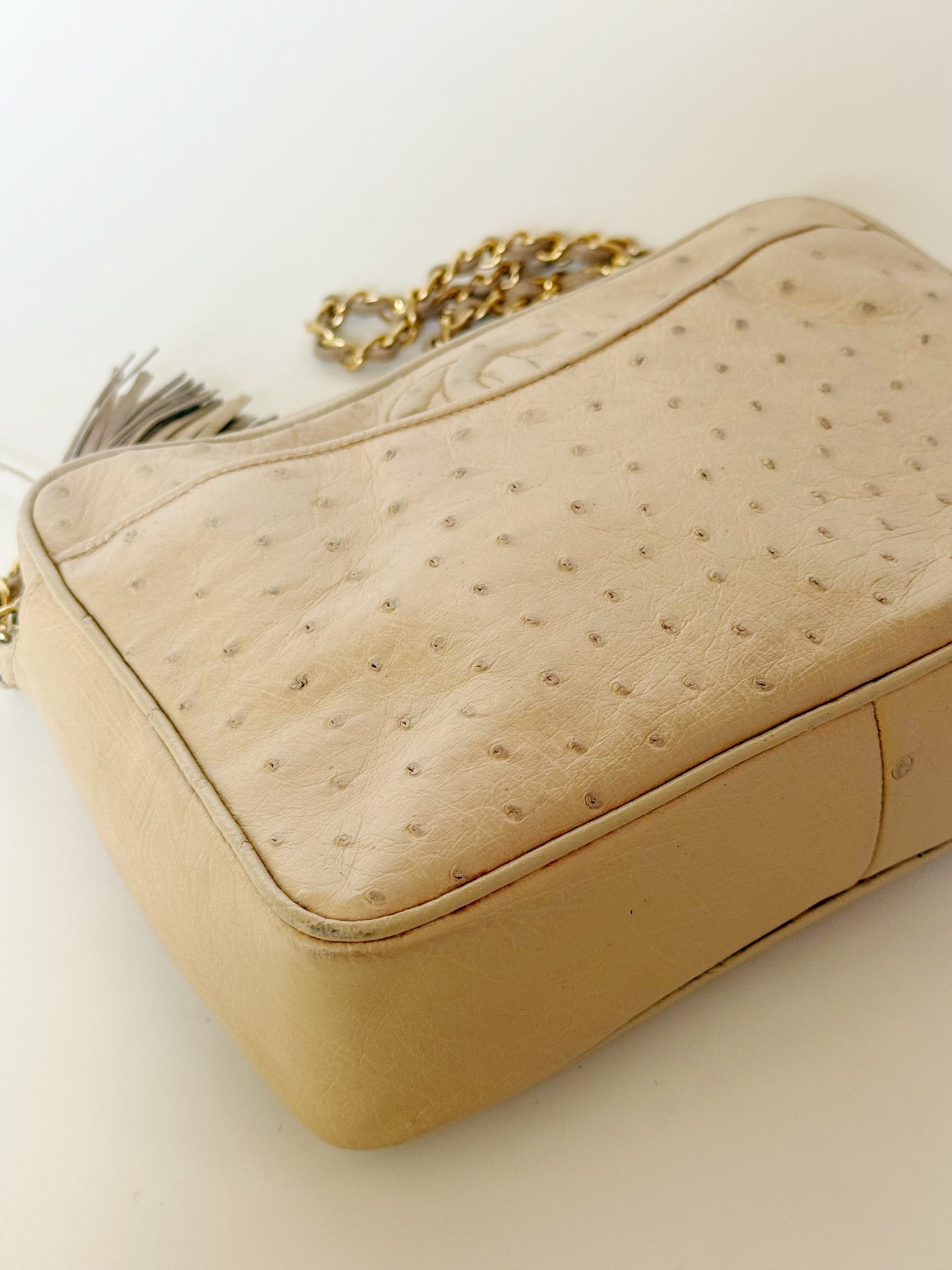 Chanel  Ostrich Camera Bag