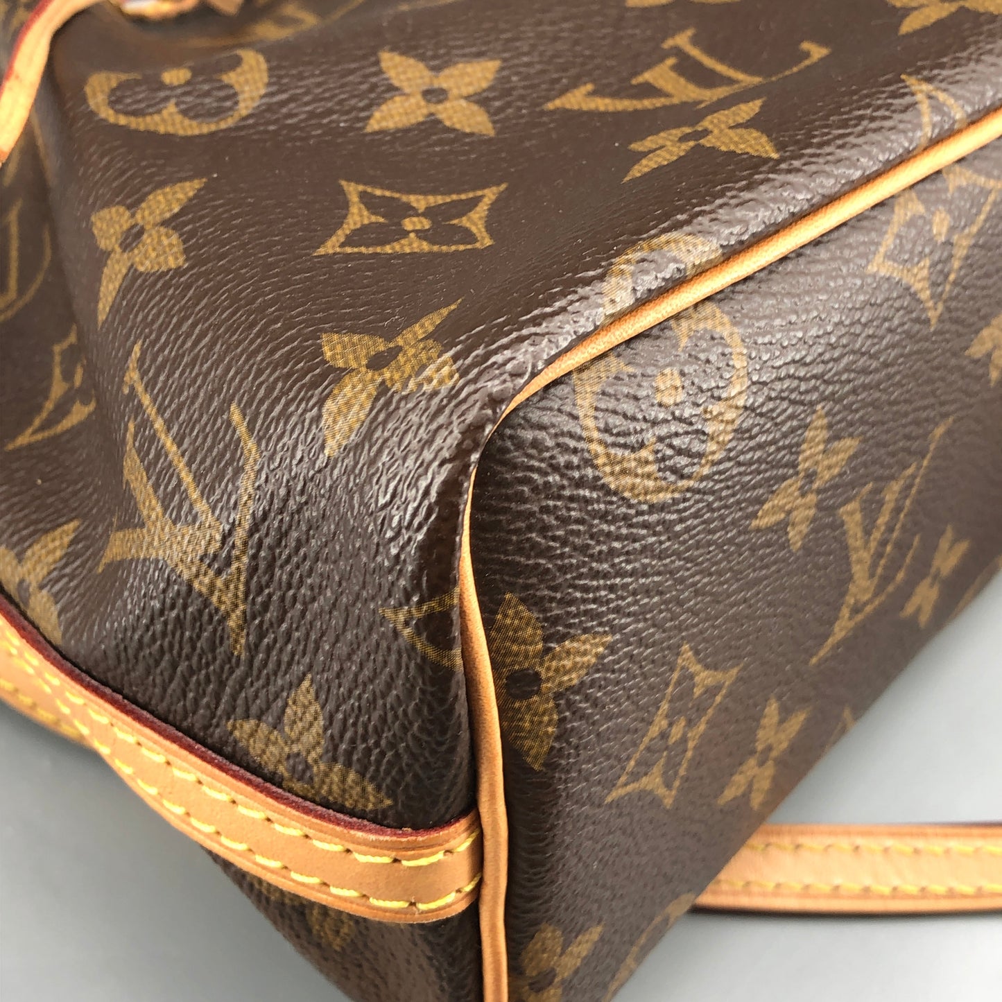 Louis Vuitton Classic Monogram Nano Noé Bucket Drawstring Crossbody Bag