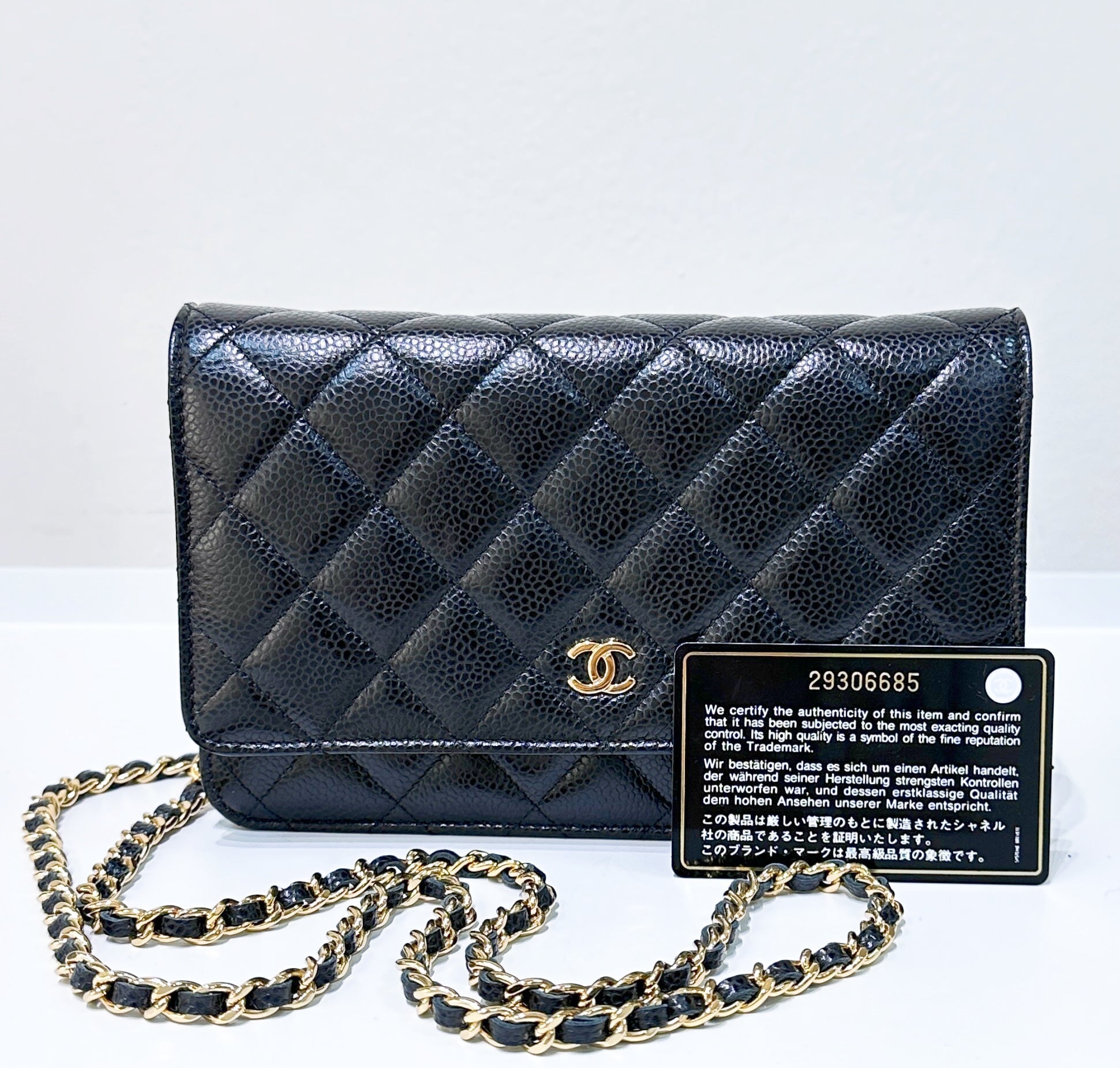Chanel Wallet On Chain Crossbody Bag - Ewore Bags