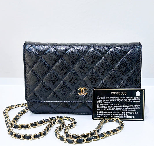 Chanel Wallet On Chain Crossbody Bag - Ewore Bags