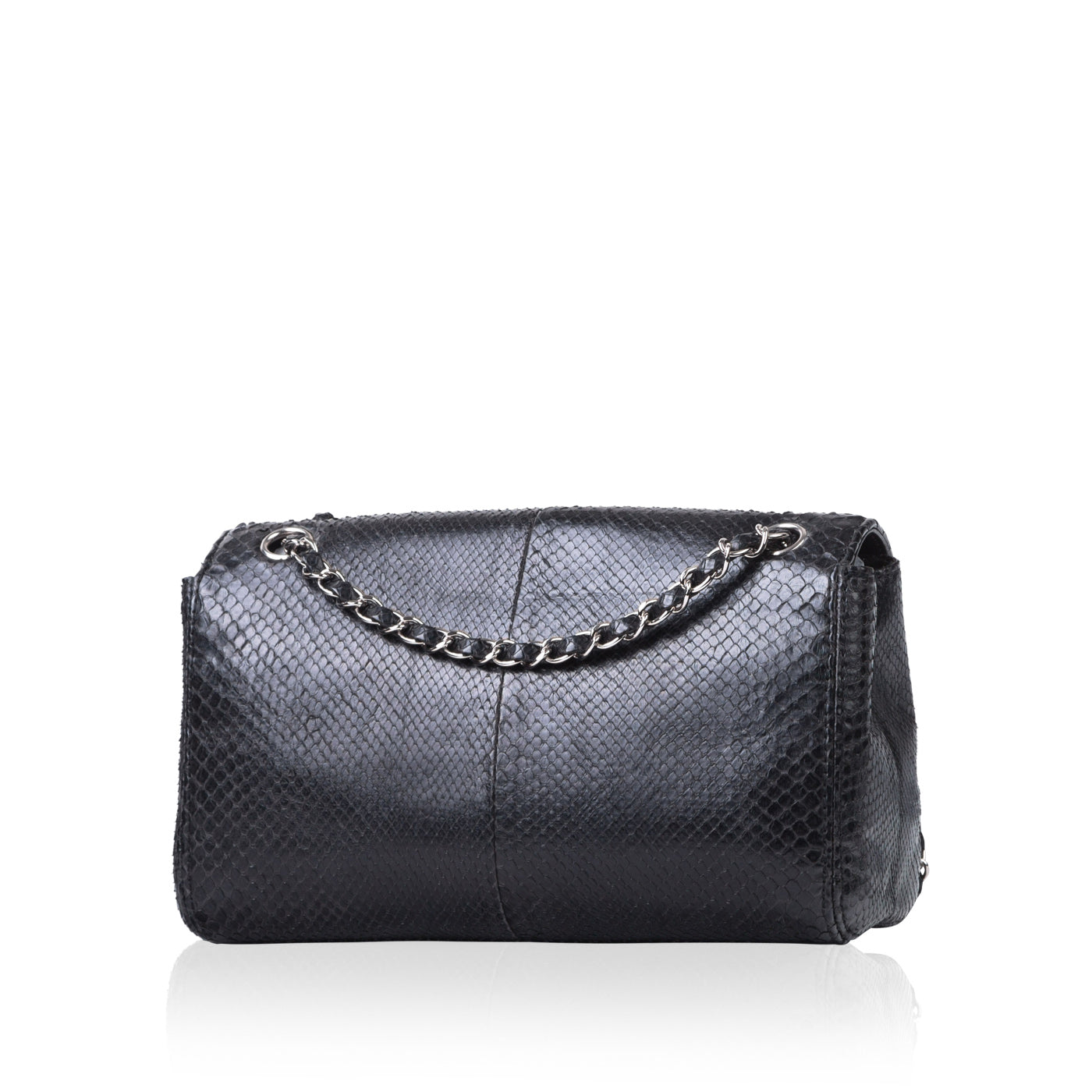 Chanel Timeless Python Shoulder Bag