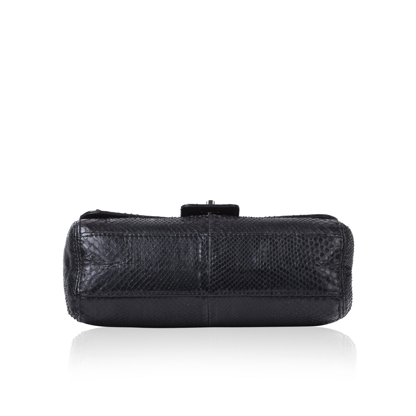 Chanel Timeless Python Shoulder Bag