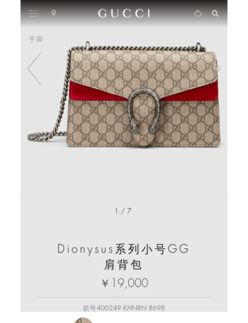 Gucci Chain Crossbody Style 2