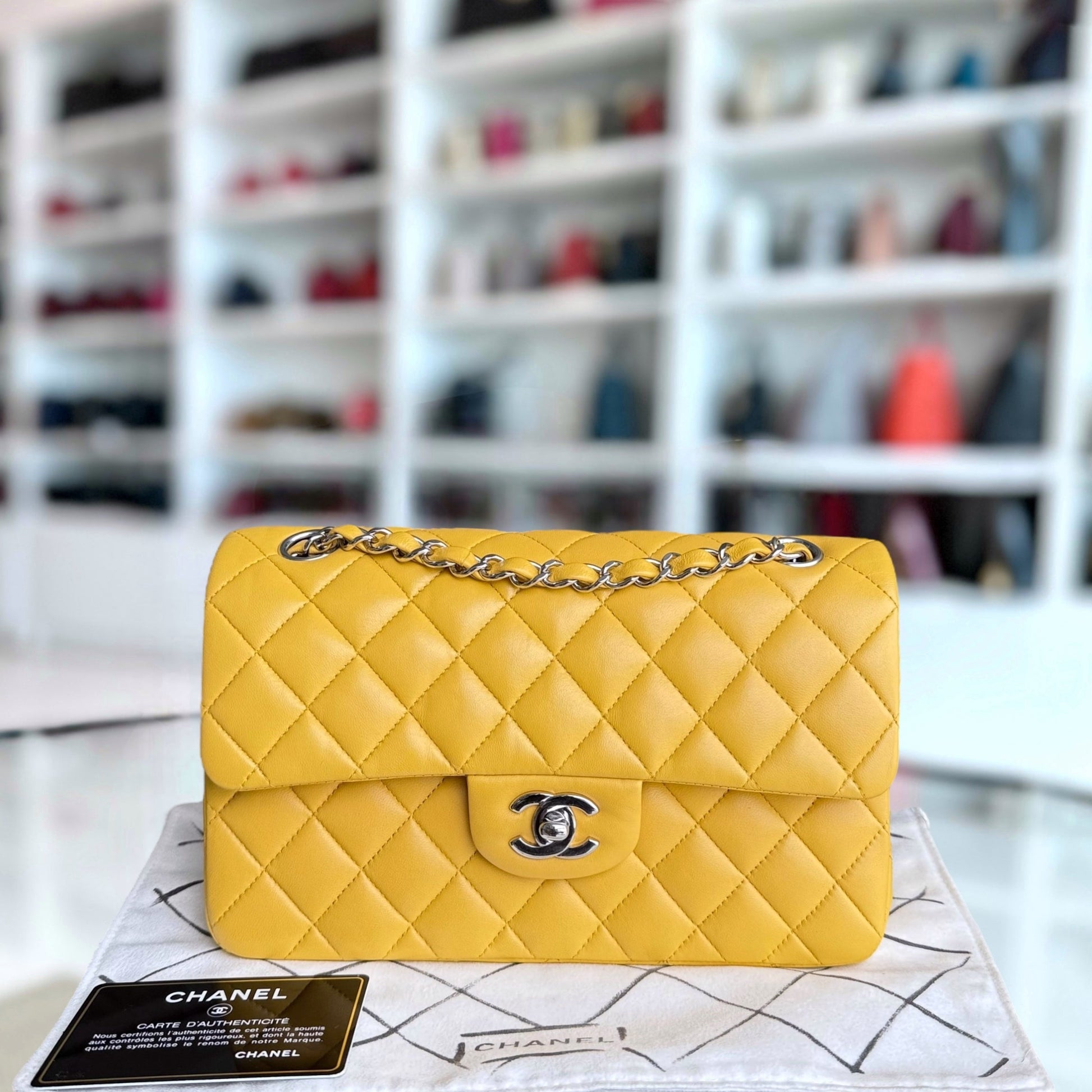 Chanel Classic Flap Small Shoulder Bag - EworeBags