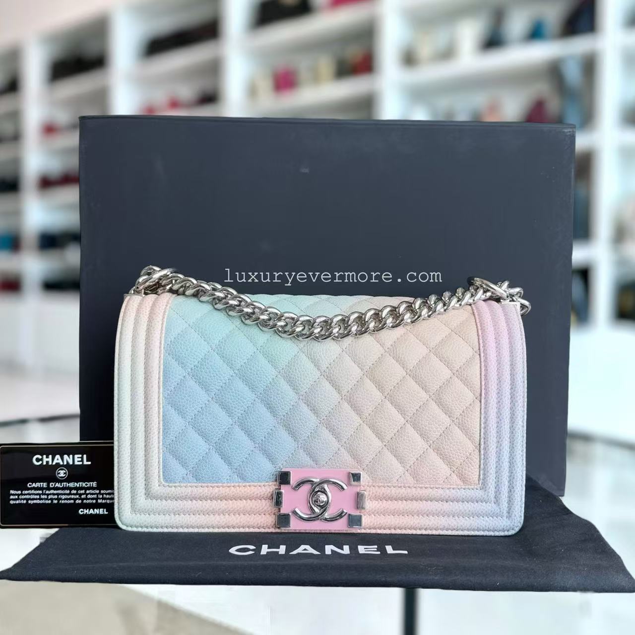 Chanel Medium Handbag - EworeBags