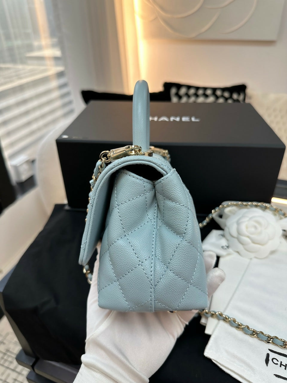 Chanel (22)Coco Handle Mini
