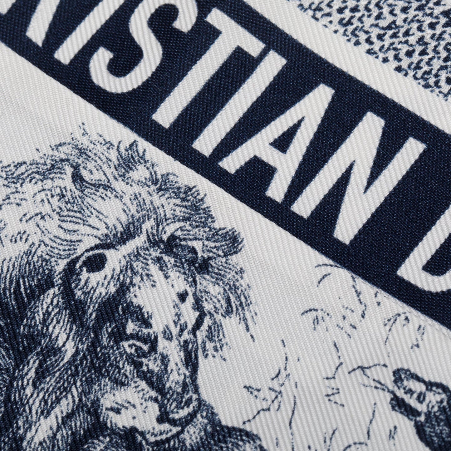 Christian Dior Navy Toile de Jouy Sauvage Mitzah Scarf