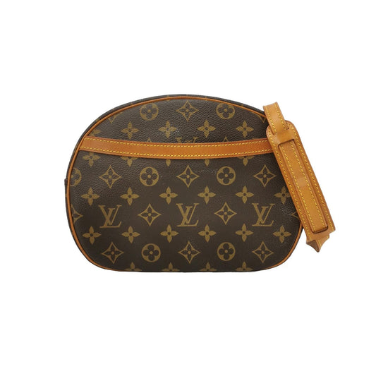 Louis Vuitton Blois Apple Bag Crossbody Bag 250101781005650