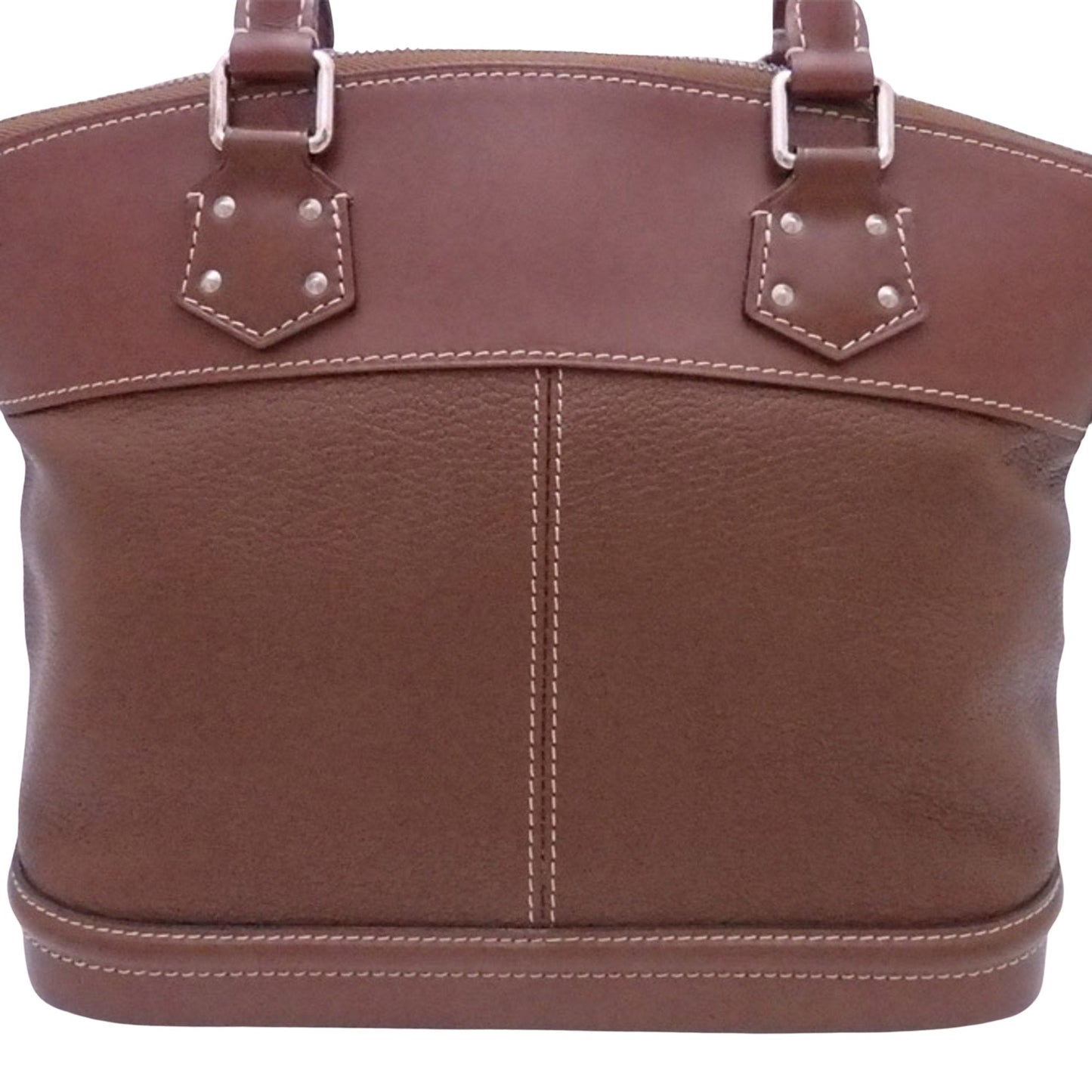 Louis Vuitton Brown Exotic leathers Suhali handbag bag