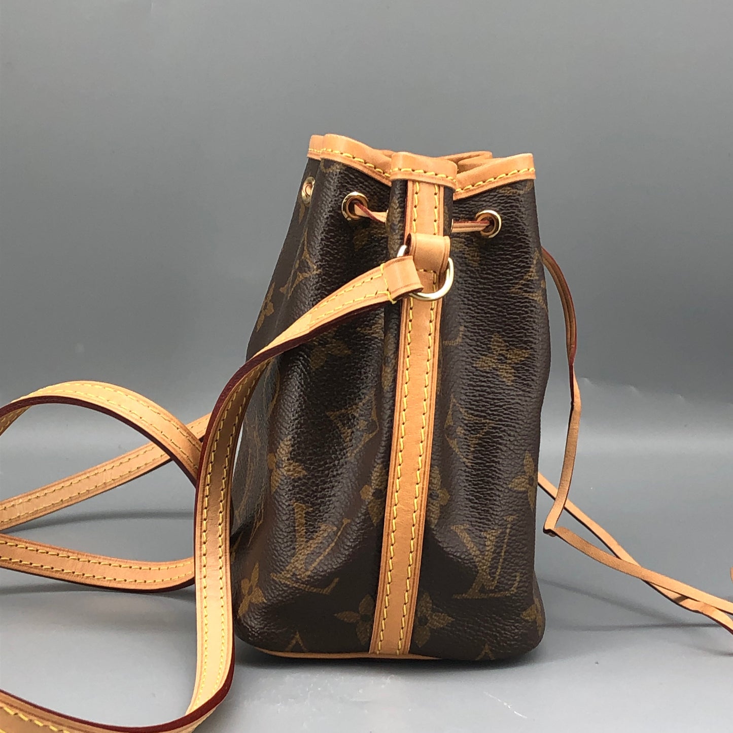 Louis Vuitton Classic Monogram Nano Noé Bucket Drawstring Crossbody Bag