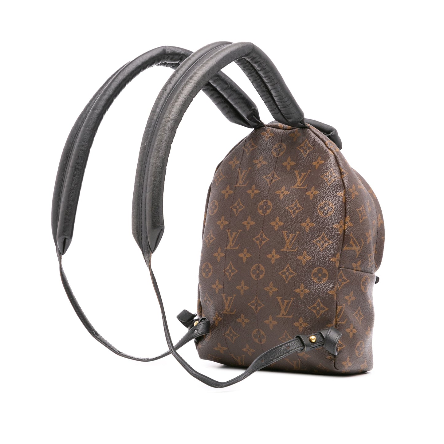 Brown Louis Vuitton Monogram Reverse Palm Springs PM Backpack