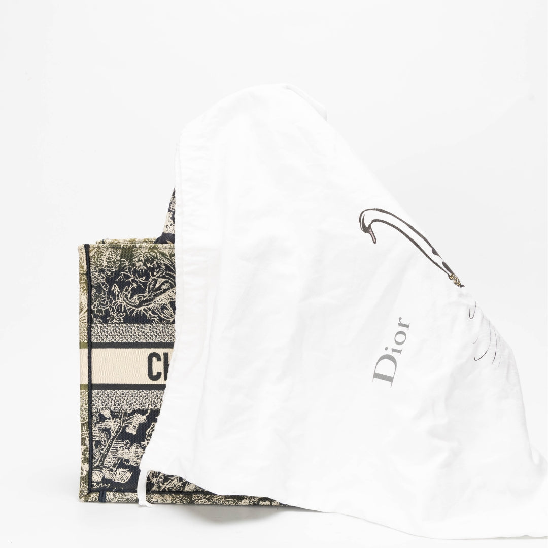 Dior Book Tote Tote