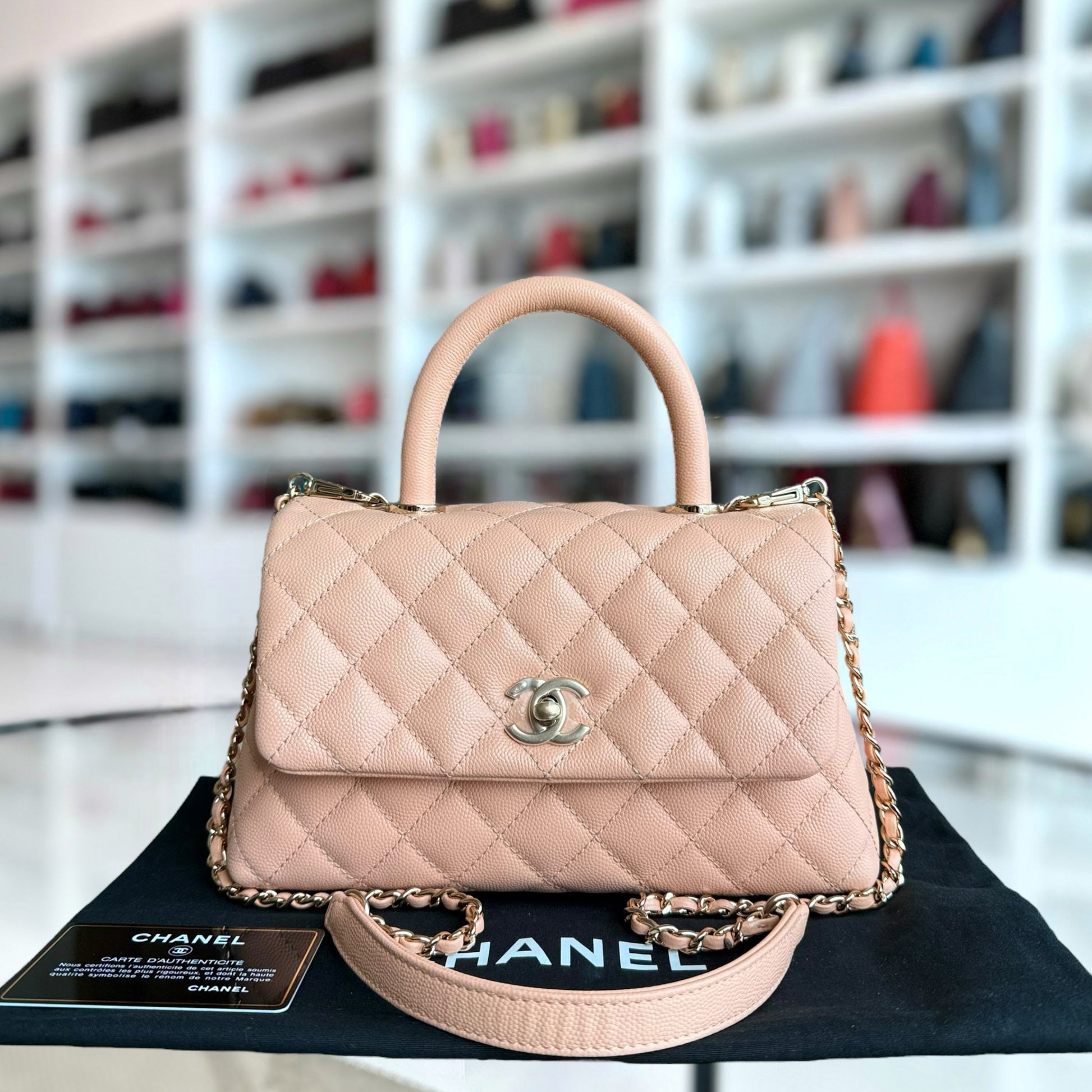 Chanel Small Handbag - EworeBags
