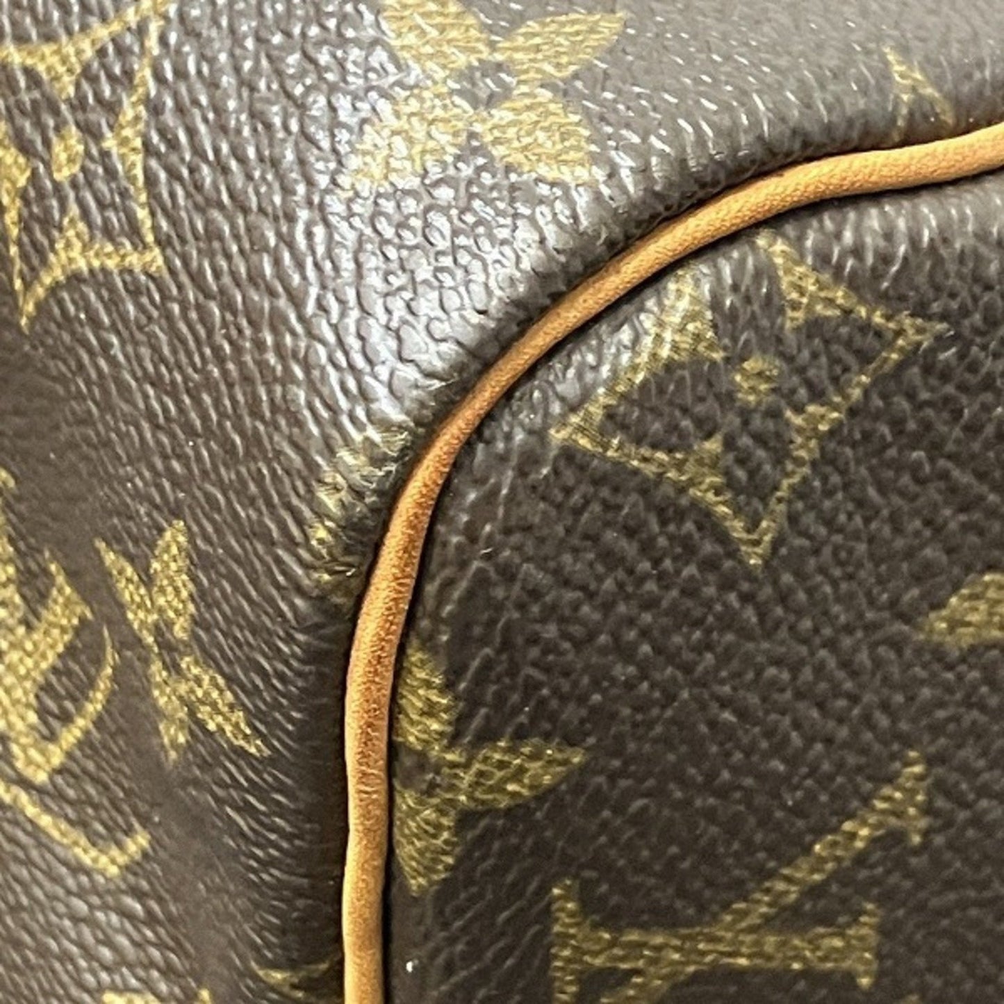 Louis Vuitton  Handbag