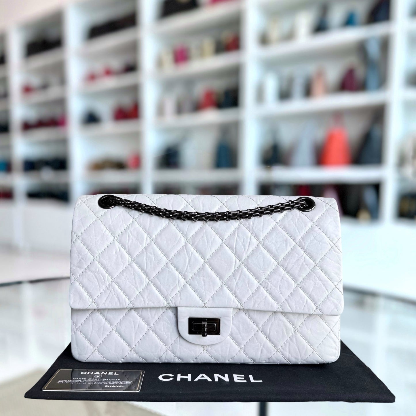 Chanel Handbag - EworeBags