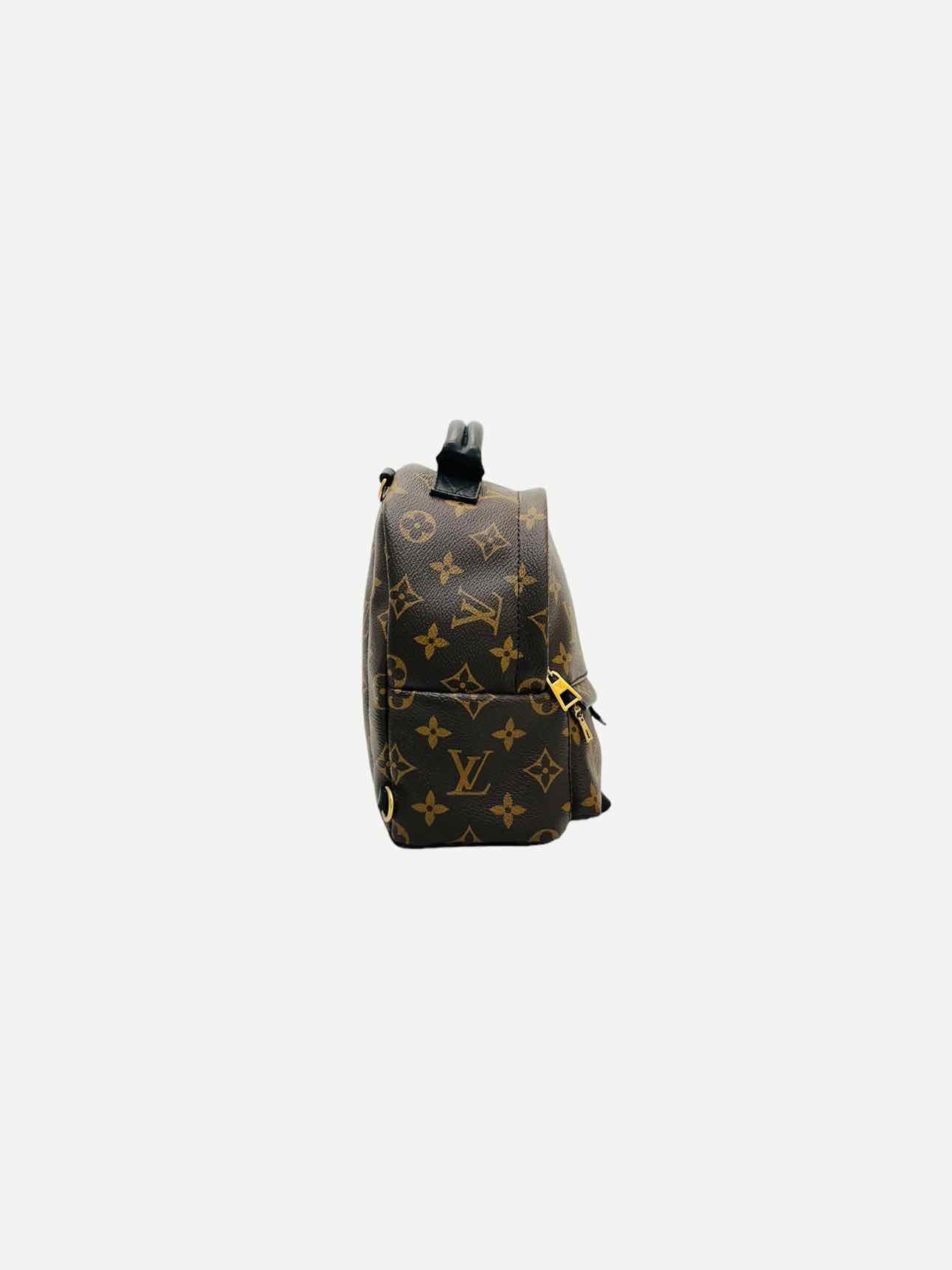 LOUIS VUITTON Palm Springs Brown Monogram Backpack
