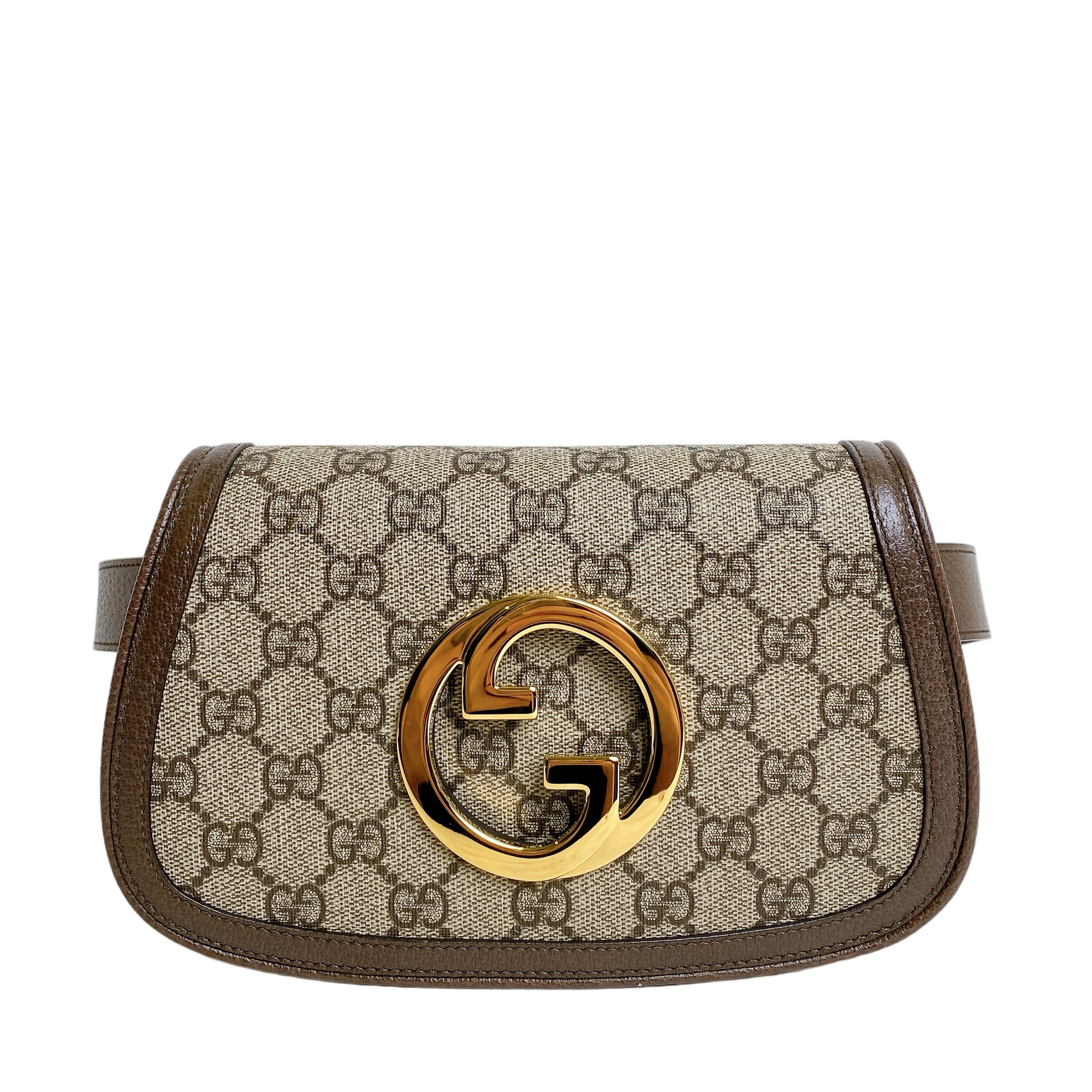 Gucci Lou Canvas Handbag