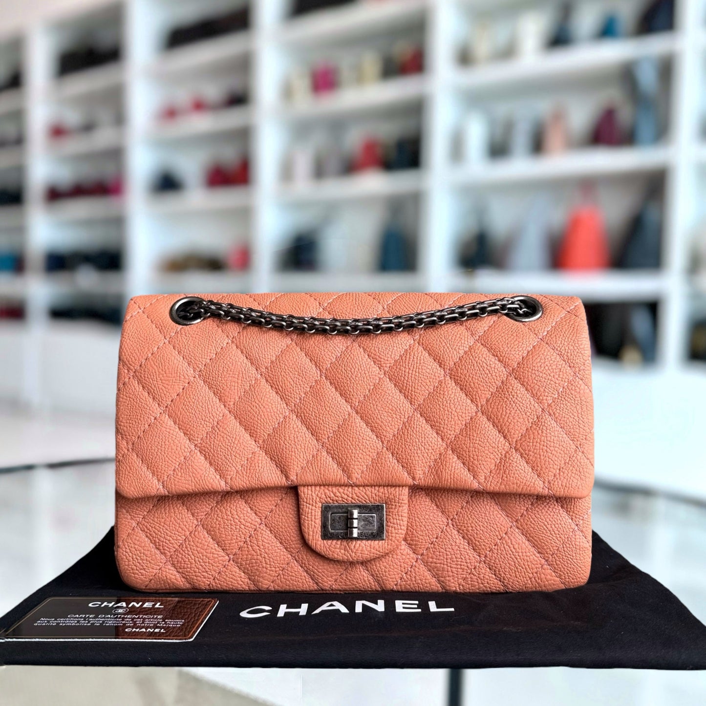 Chanel Handbag - EworeBags