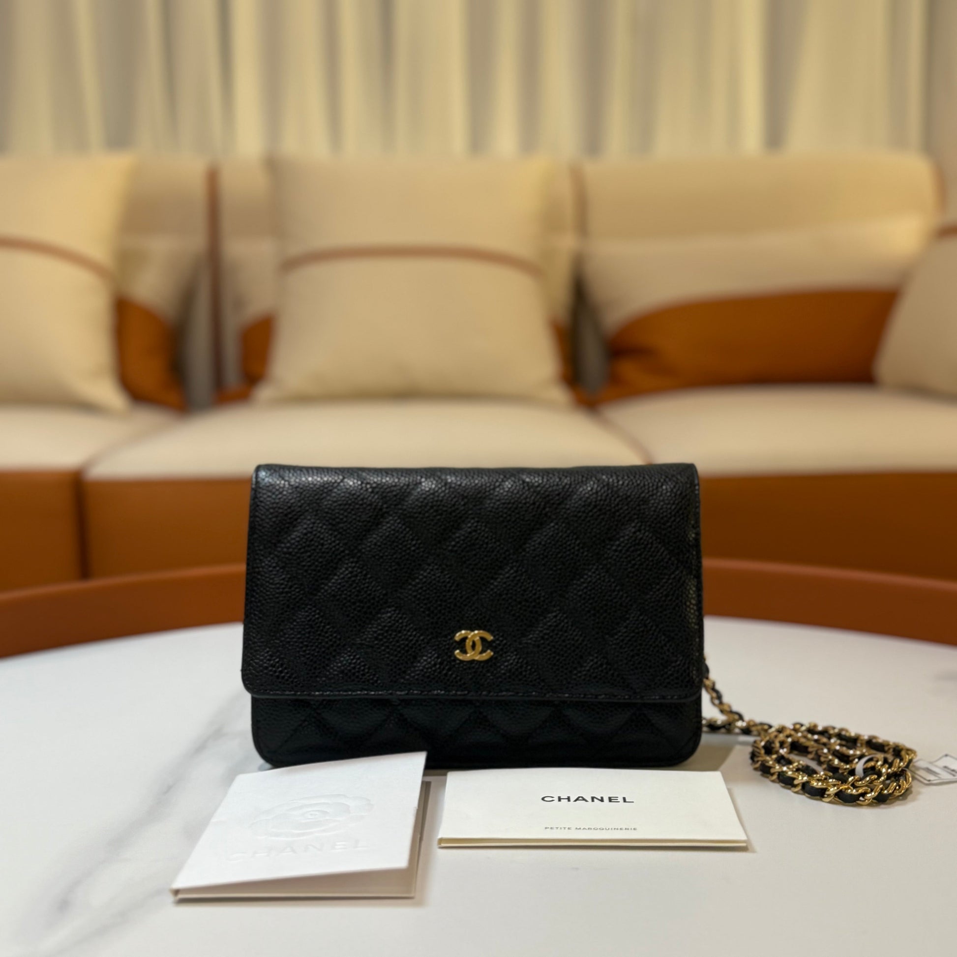 Chanel Wallet On Chain Crossbody Bag - Ewore Bags