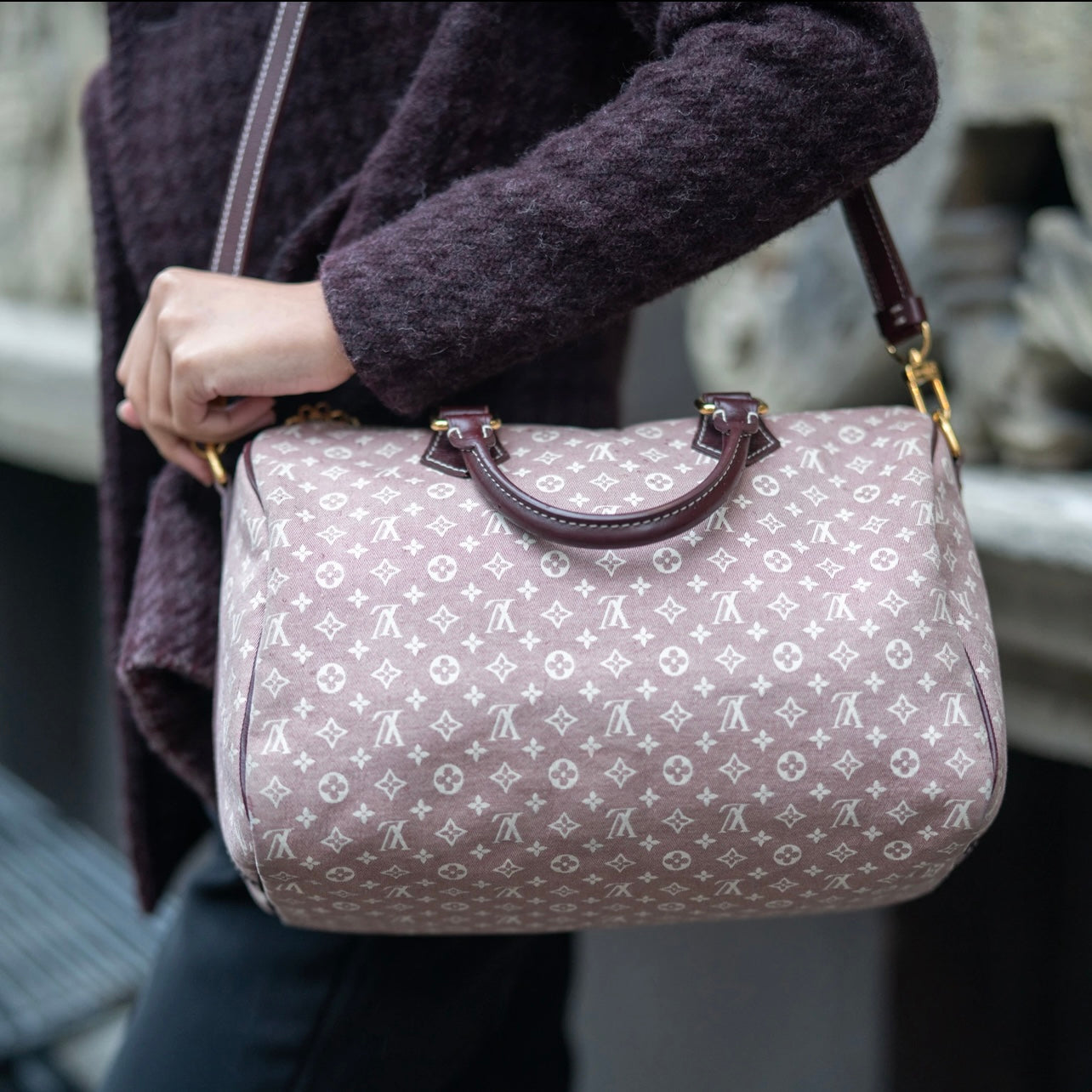 LOUIS VUITTON mine lin Speedy Bandouliere 30