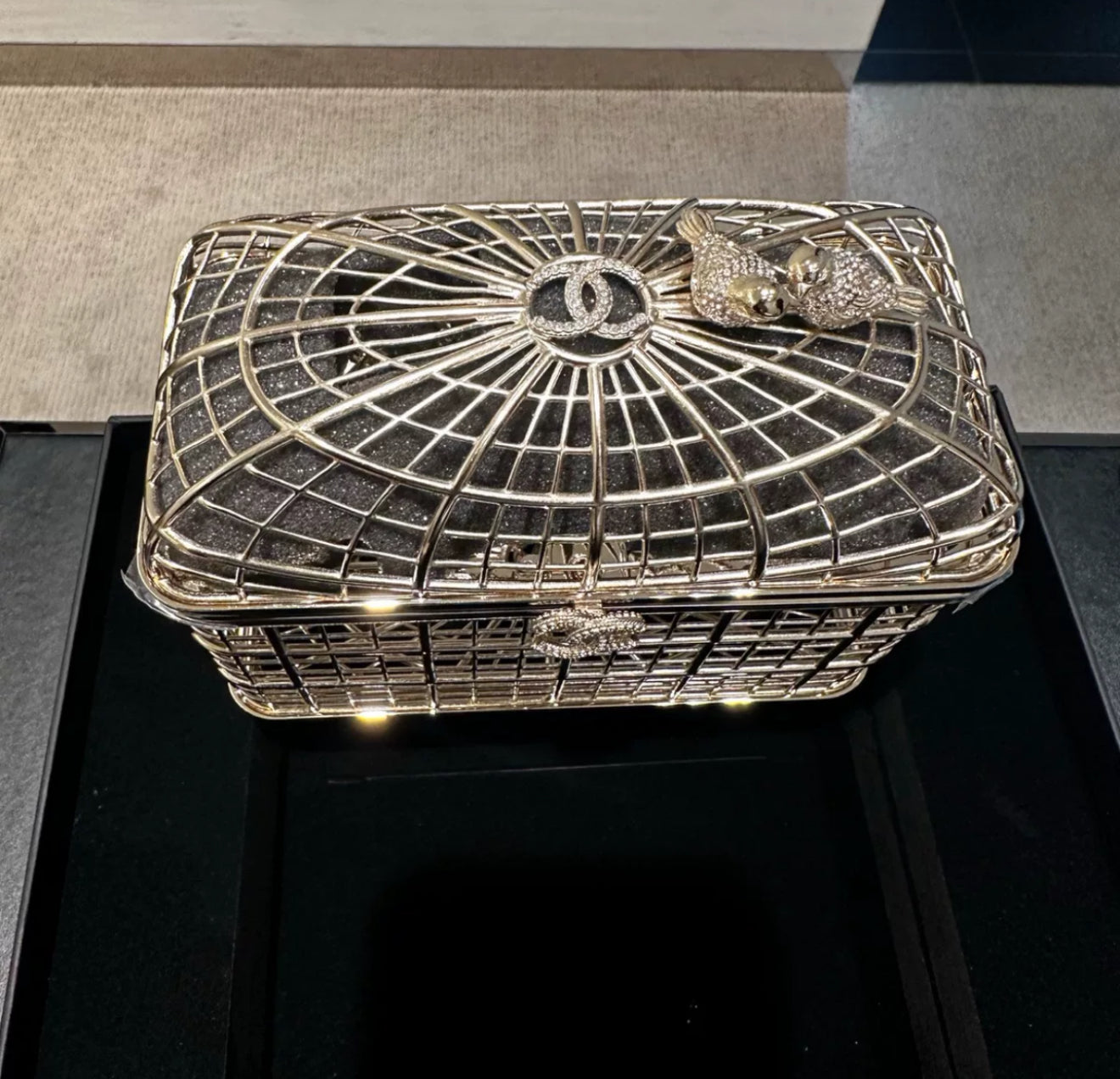 Chanel 25S Birdcage Evening Bag