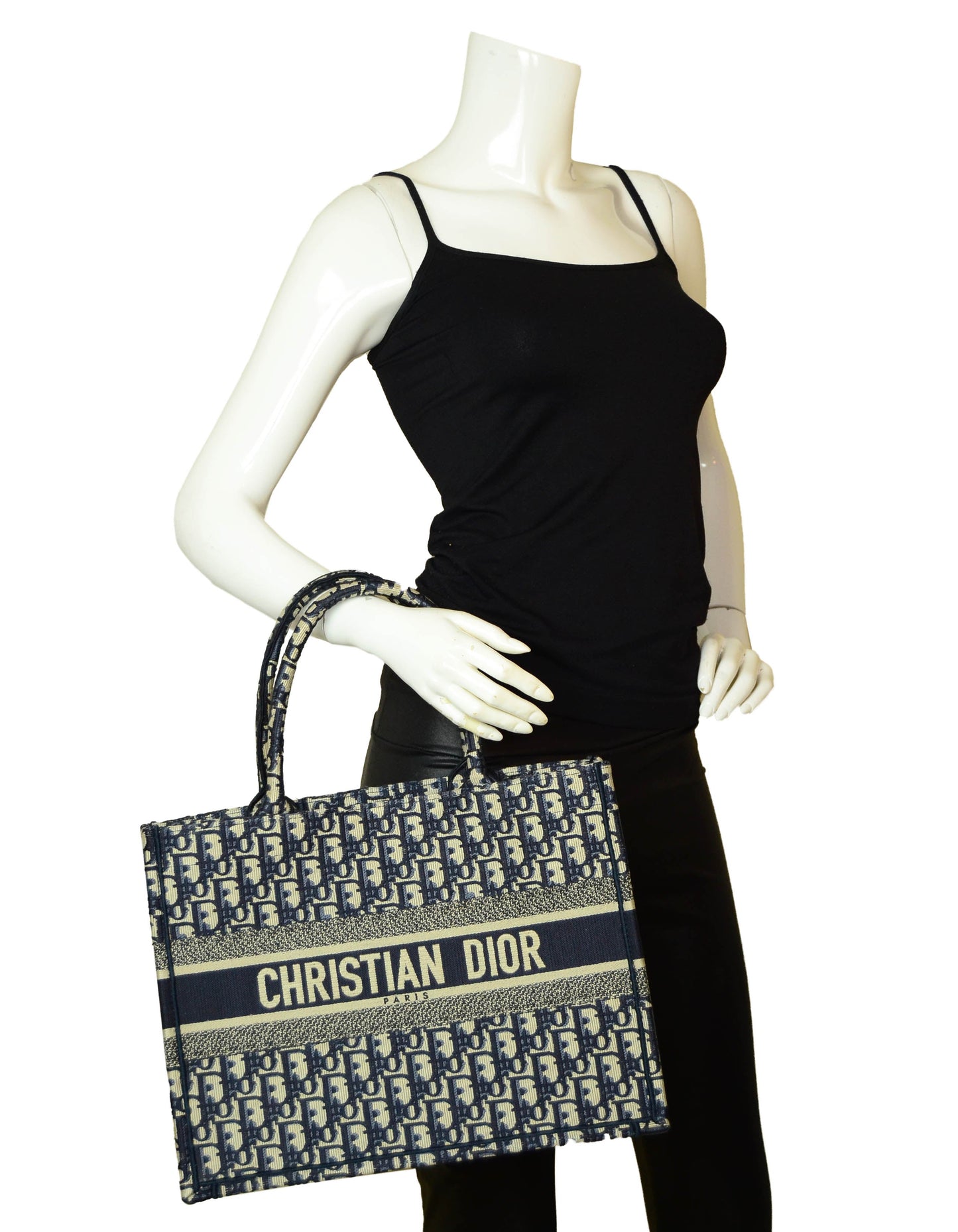 Christian Dior 2020 Blue Oblique Monogram Small Book Tote Bag
