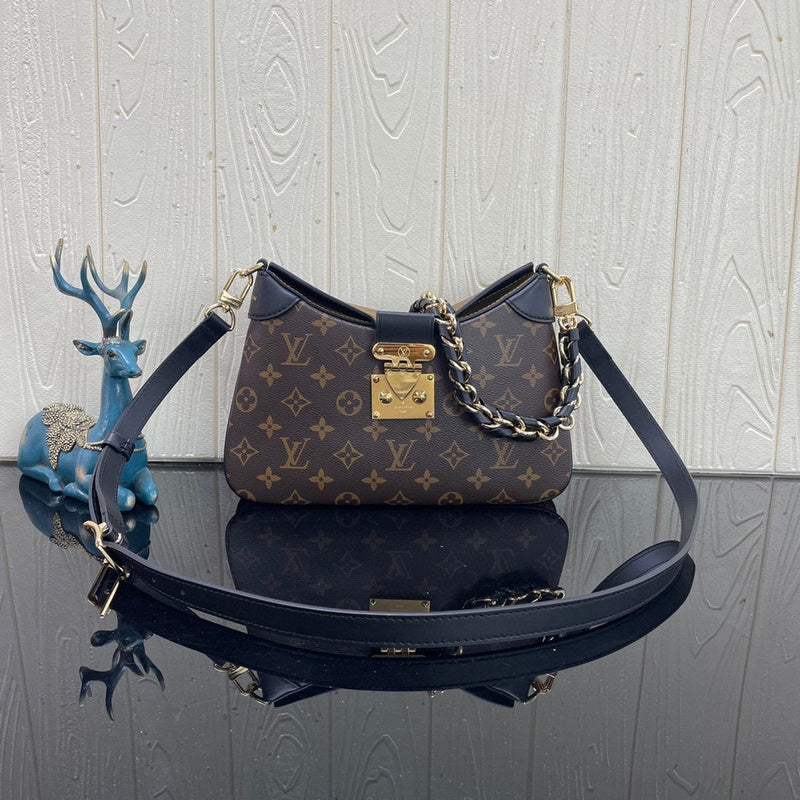 Louis Vuitton Bags