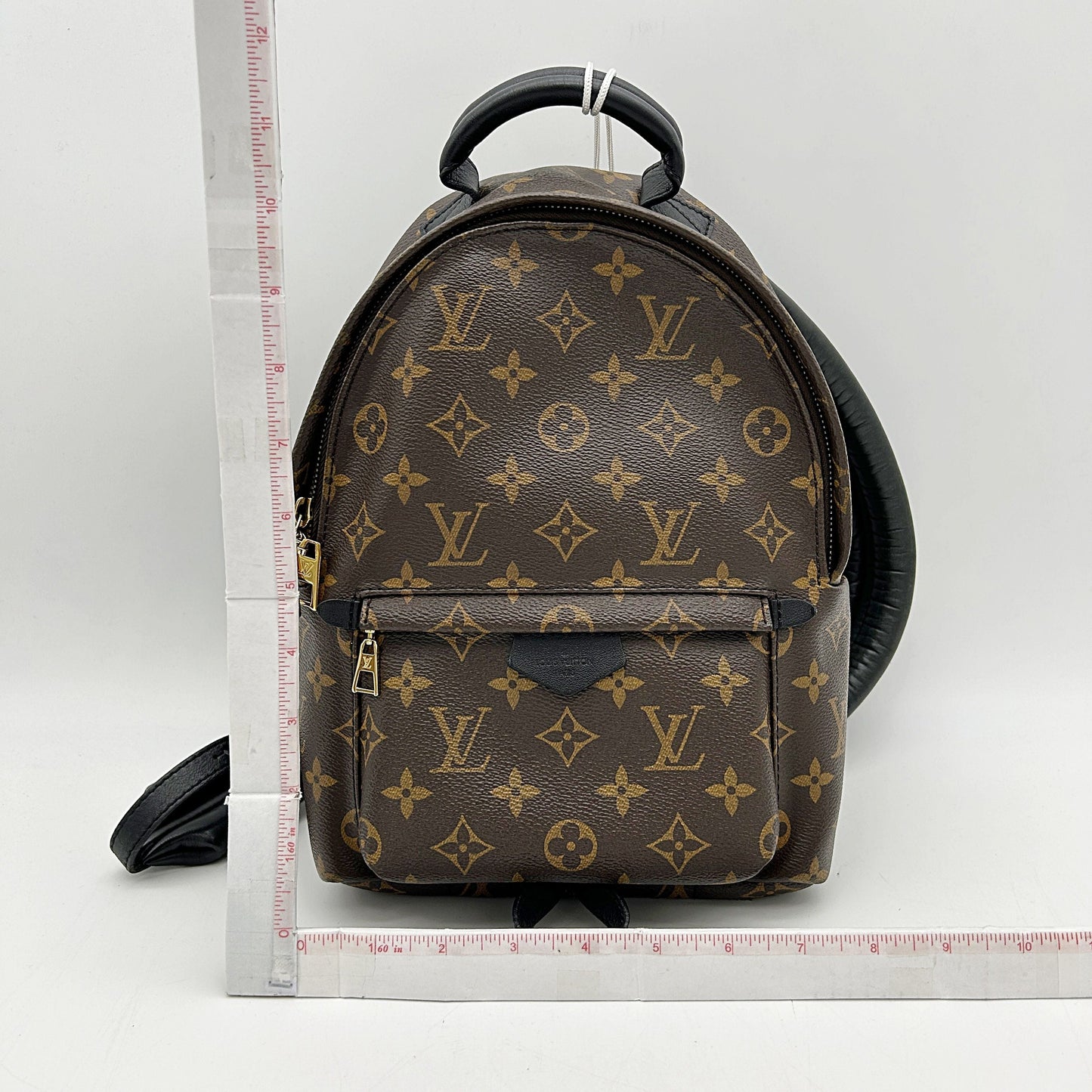 LOUIS VUITTON Monogram Palm Springs Backpack LA26501
