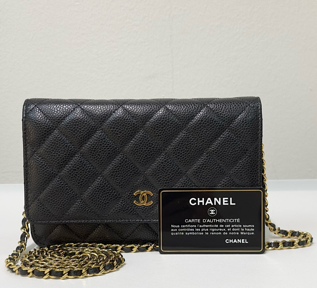 Chanel Wallet On Chain Crossbody Bag - Ewore Bags