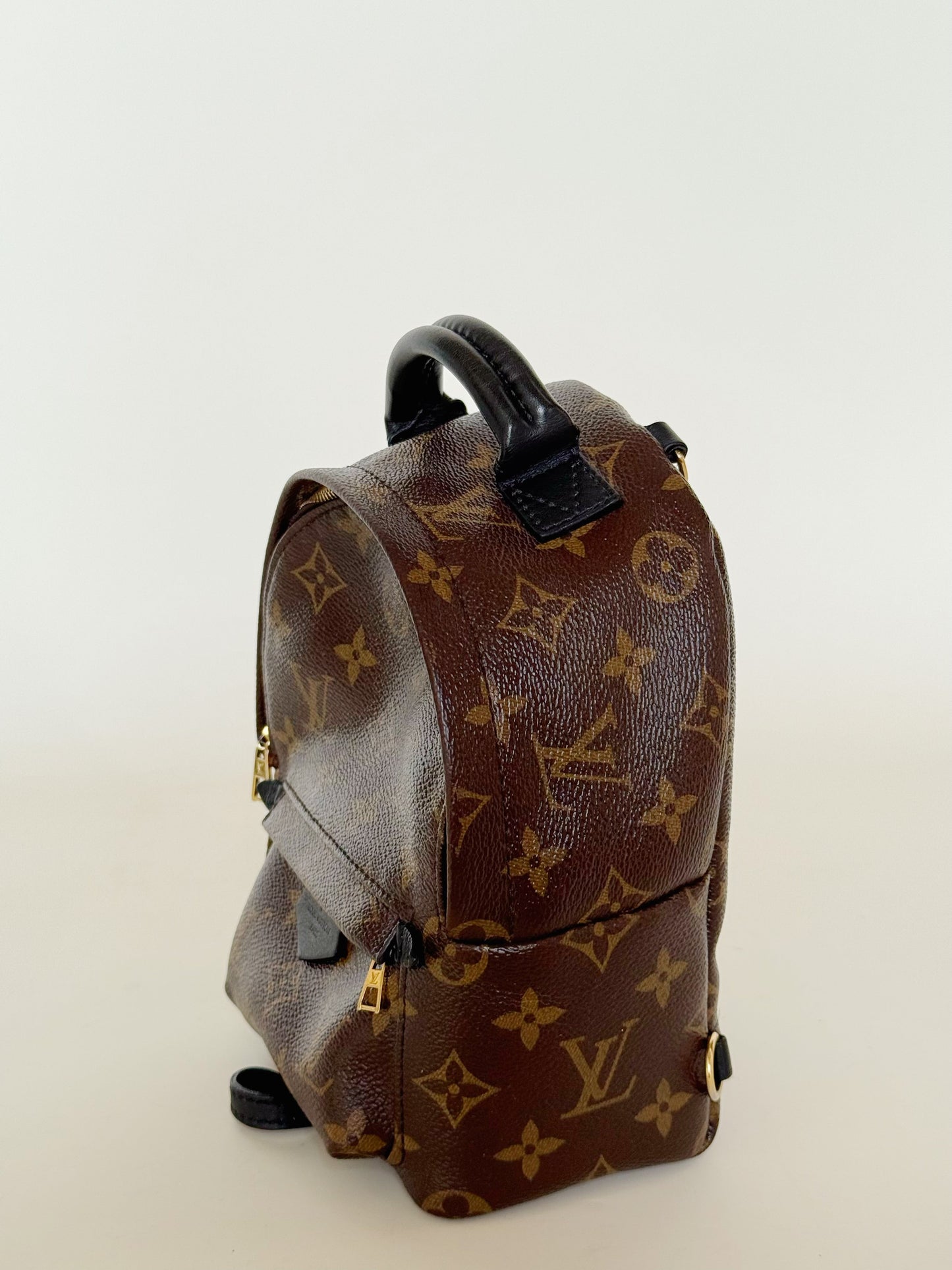 Louis Vuitton Monogram Palm Springs Backpack Mini
