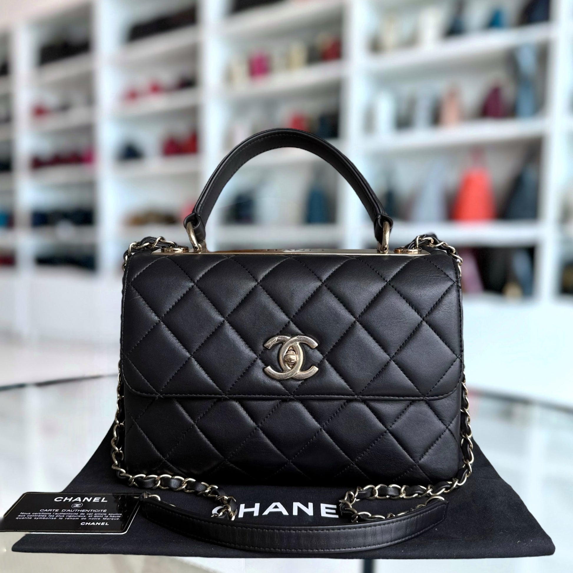 Chanel Small Handbag - EworeBags