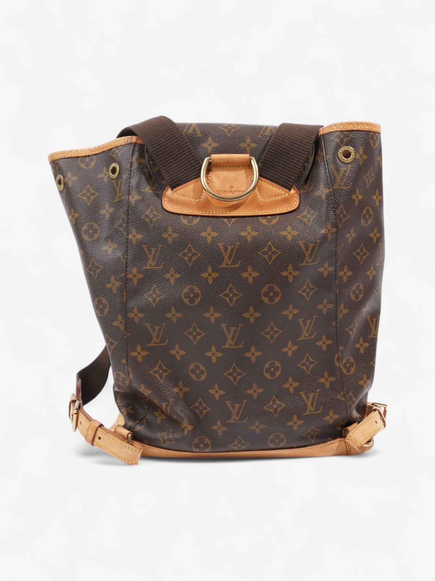 Louis Vuitton Montsouris Monogram Coated Canvas GM