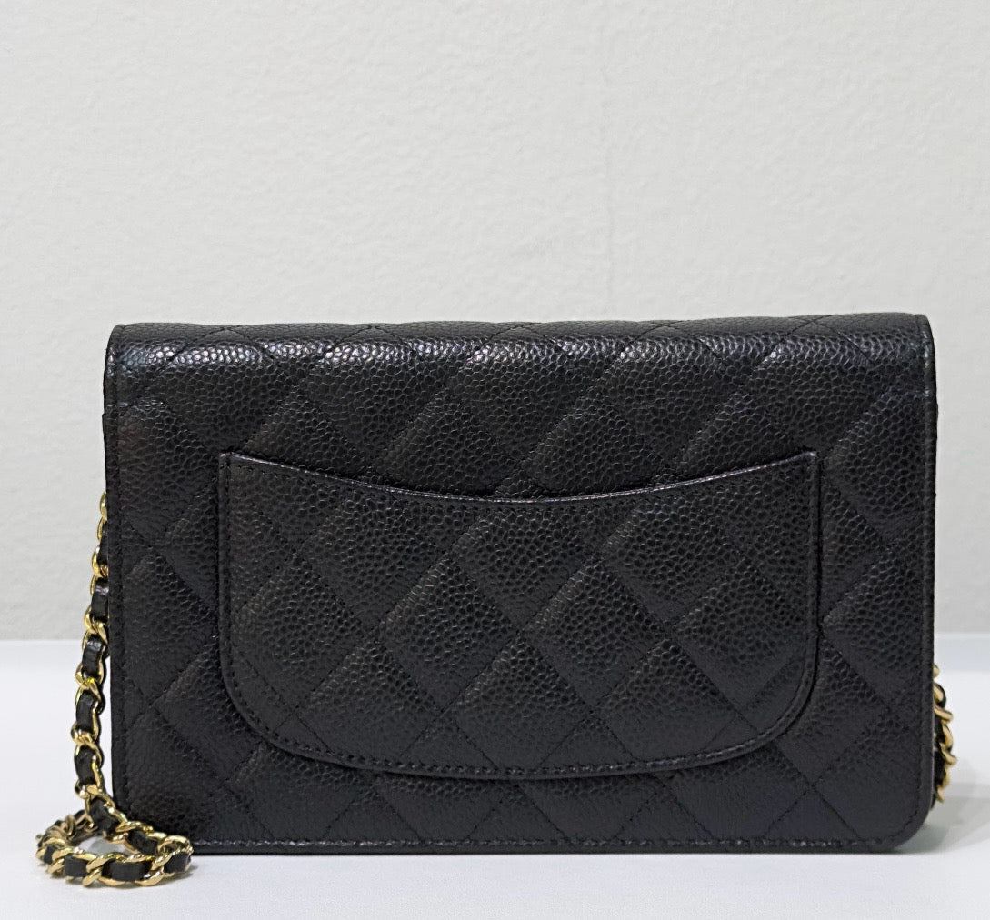 Chanel Wallet On Chain Crossbody Bag - Ewore Bags