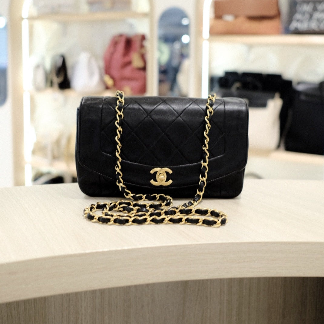 Chanel Diana Handbag Bag - Ewore Bags