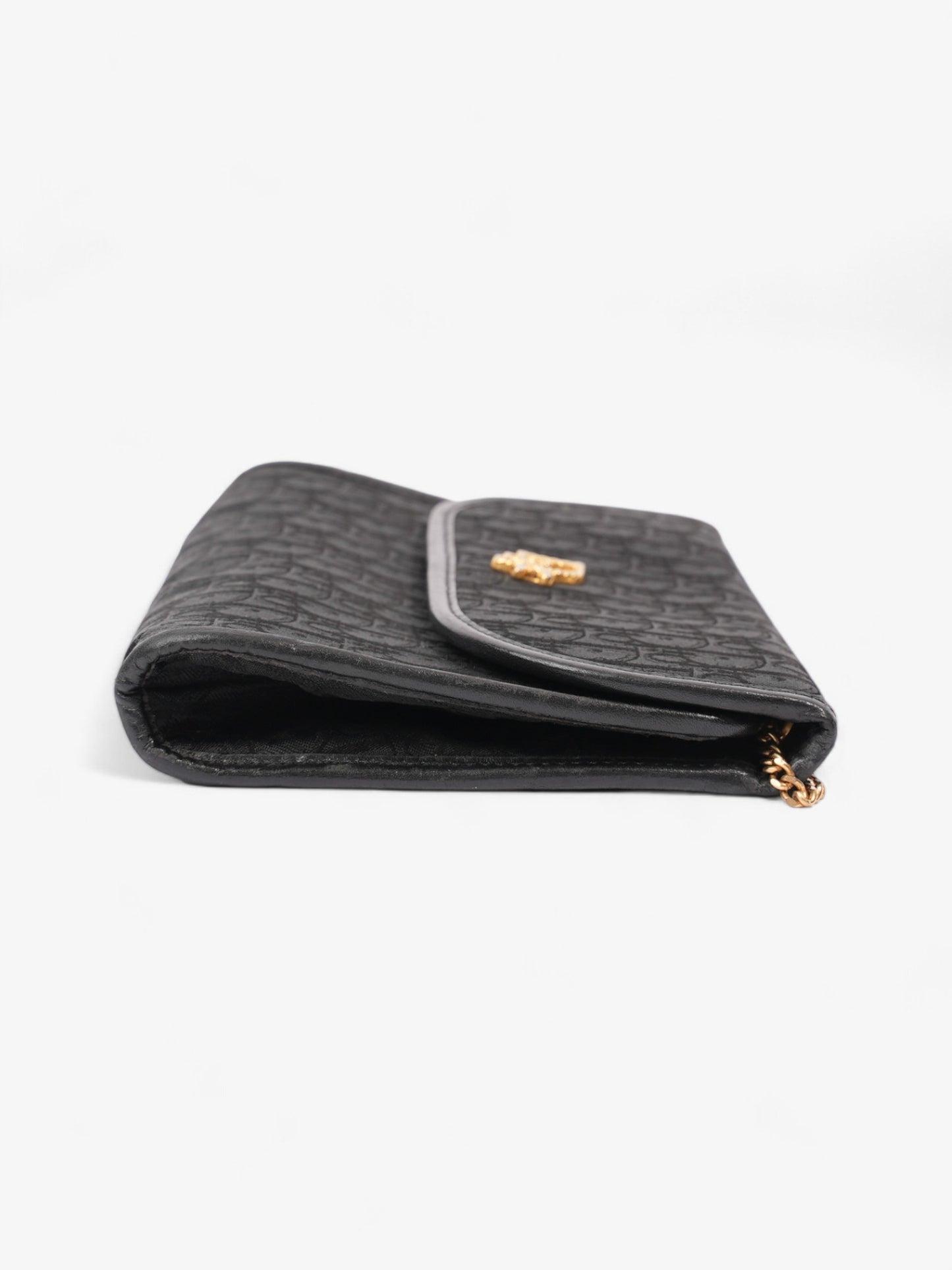 Christian Dior   Trotter Chain Black Diorissimo Canvas