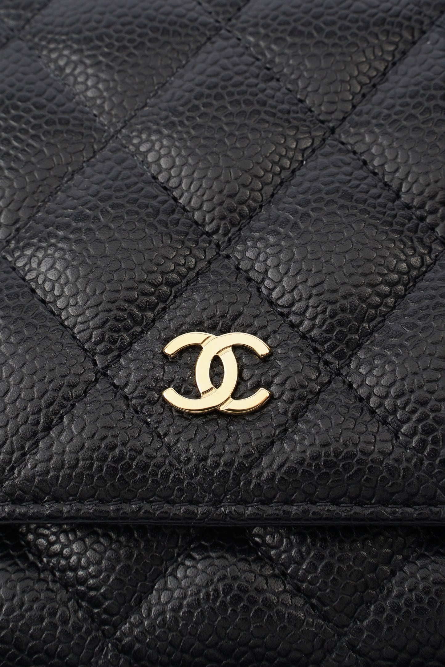 Chanel Wallet On Chain Crossbody Bag - Ewore Bags