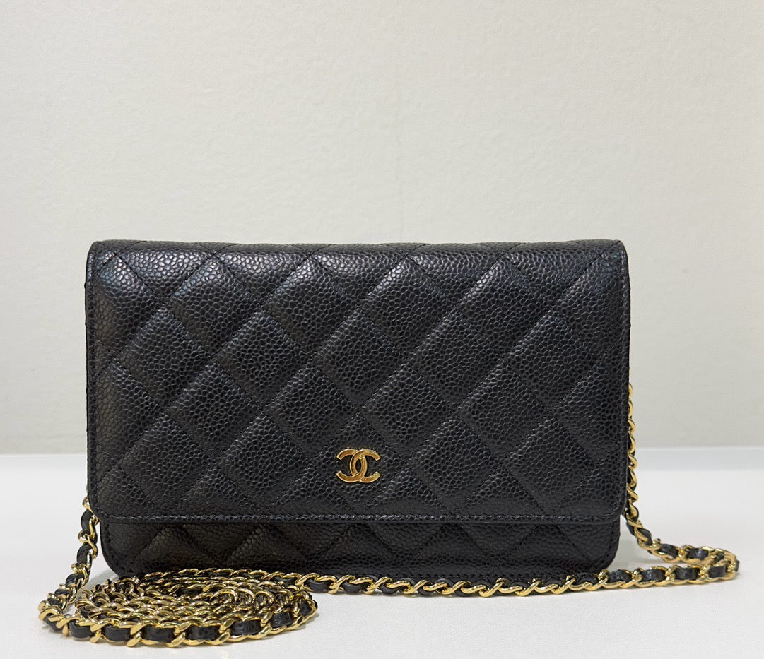 Chanel Wallet On Chain Crossbody Bag - Ewore Bags