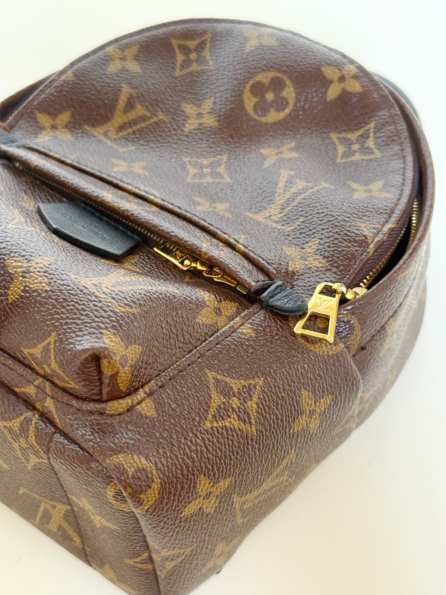 Louis Vuitton Monogram Palm Springs Backpack Mini