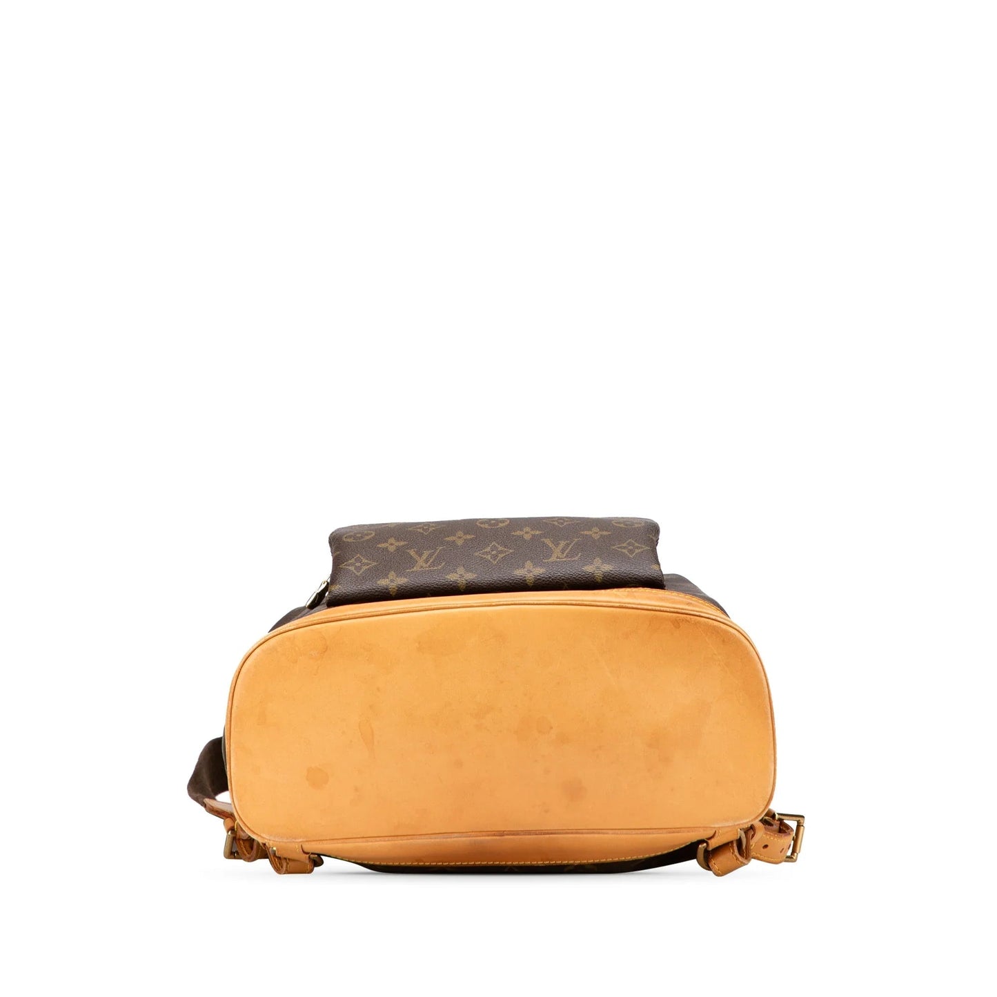 Brown Louis Vuitton Monogram Montsouris GM Backpack