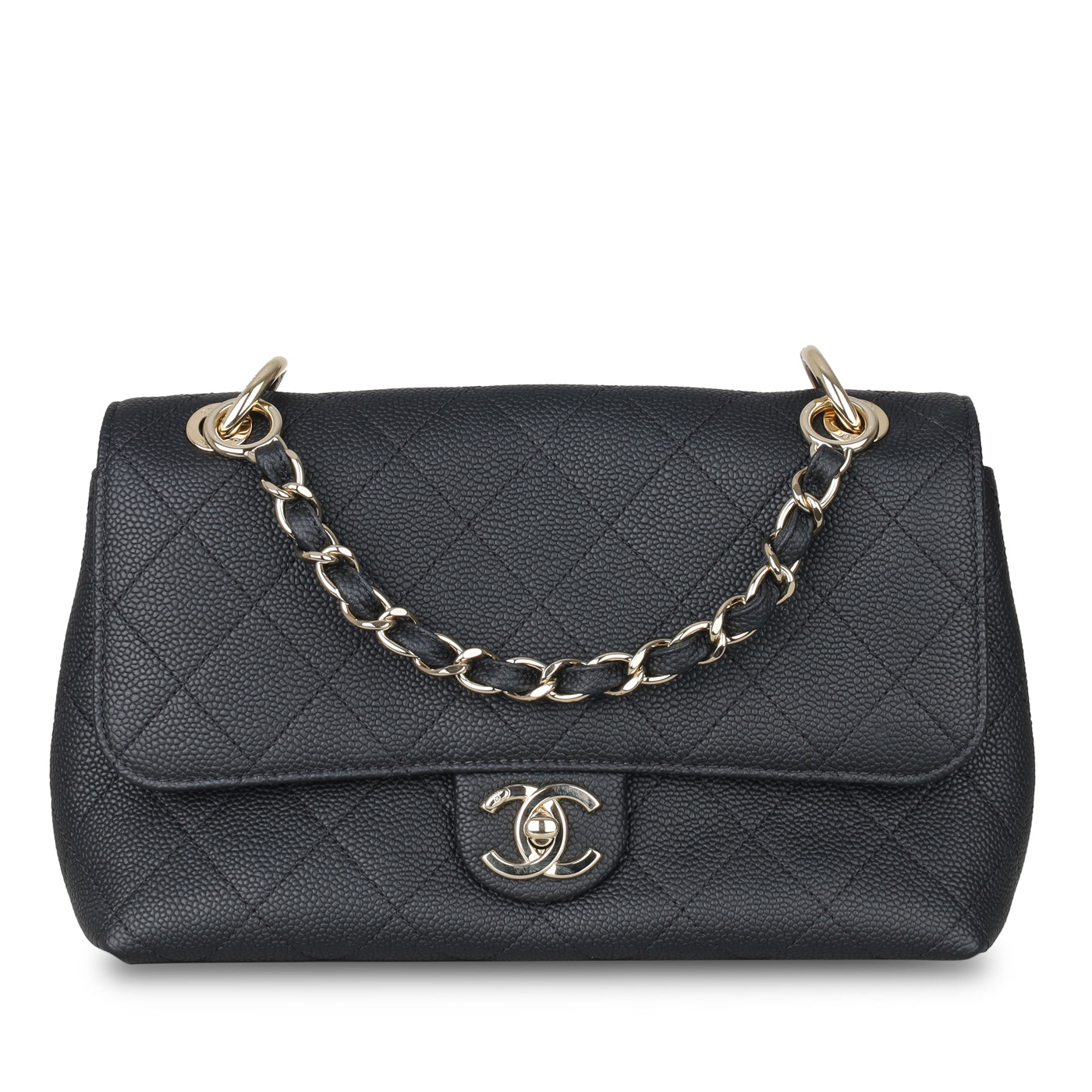 Chanel Chanel Seasonal Flap Bag
