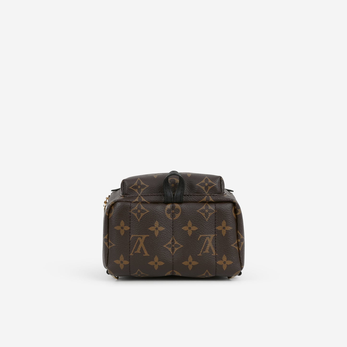 Louis Vuitton Mini Palm Spring Backpack - Monogram | Gold Hardware