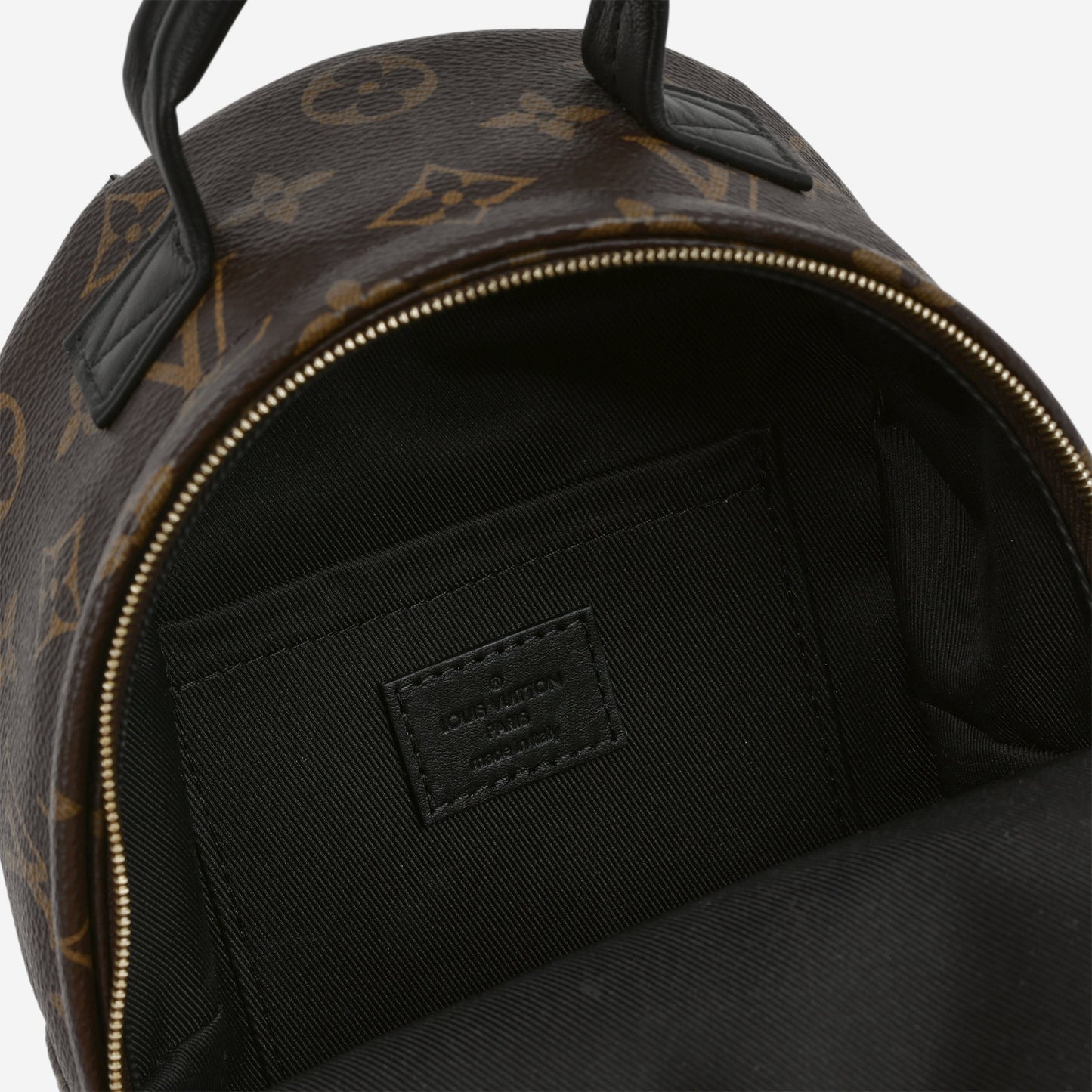 Louis Vuitton Mini Palm Spring Backpack - Monogram Canvas | Gold Hardware