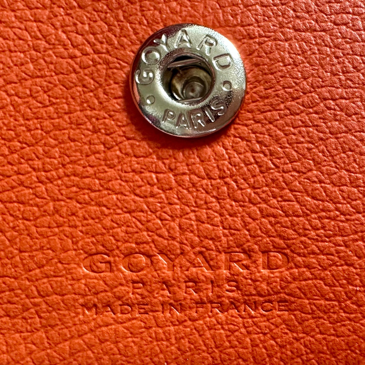 Goyard Boheme Hobo with Orange Butterfly