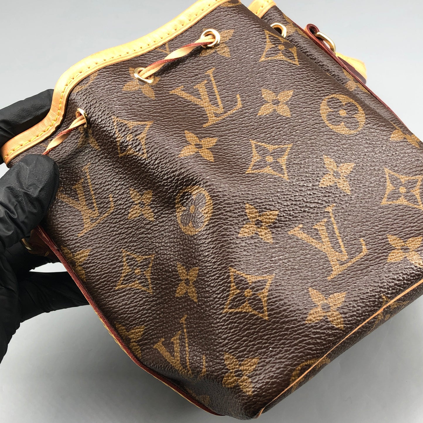 Louis Vuitton Classic Monogram Nano Noé Bucket Drawstring Crossbody Bag