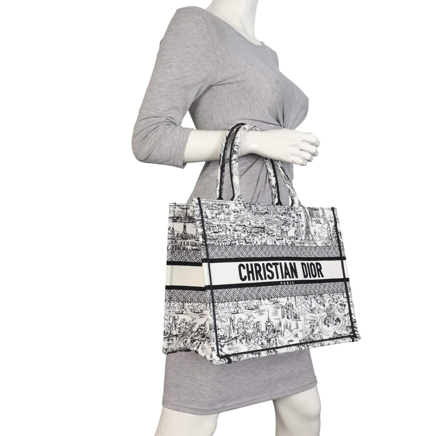 Dior Book Tote Medium Paris All Over