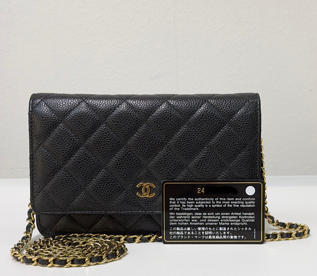 Chanel Wallet On Chain Crossbody Bag - Ewore Bags